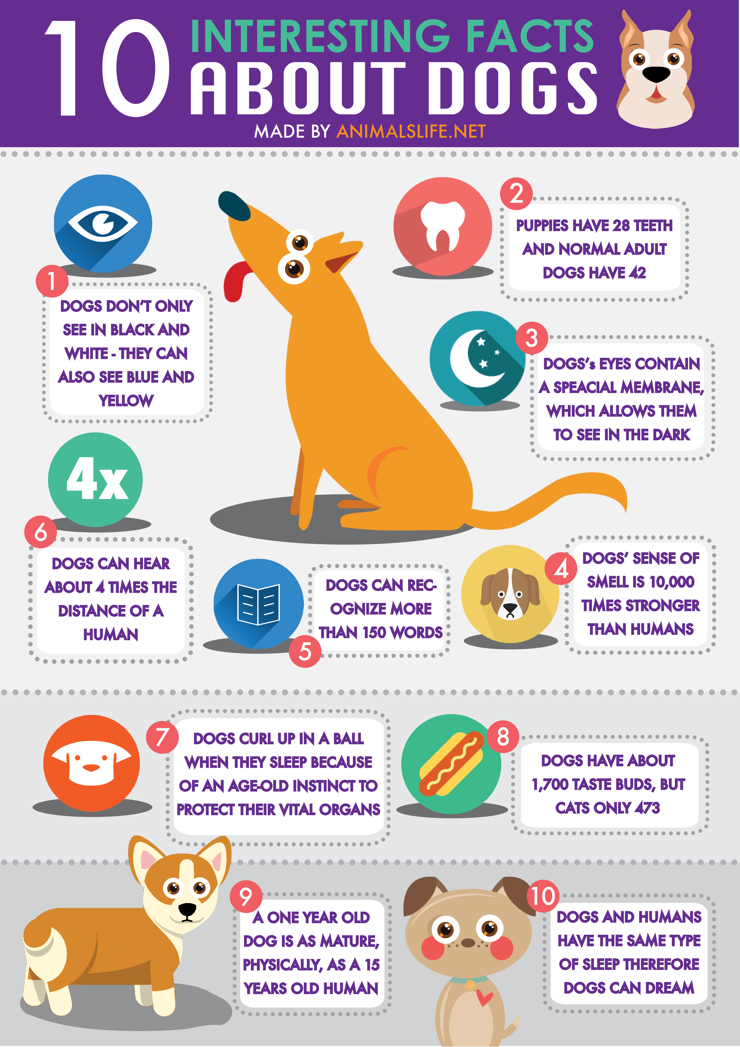 15 amazing facts about dogs