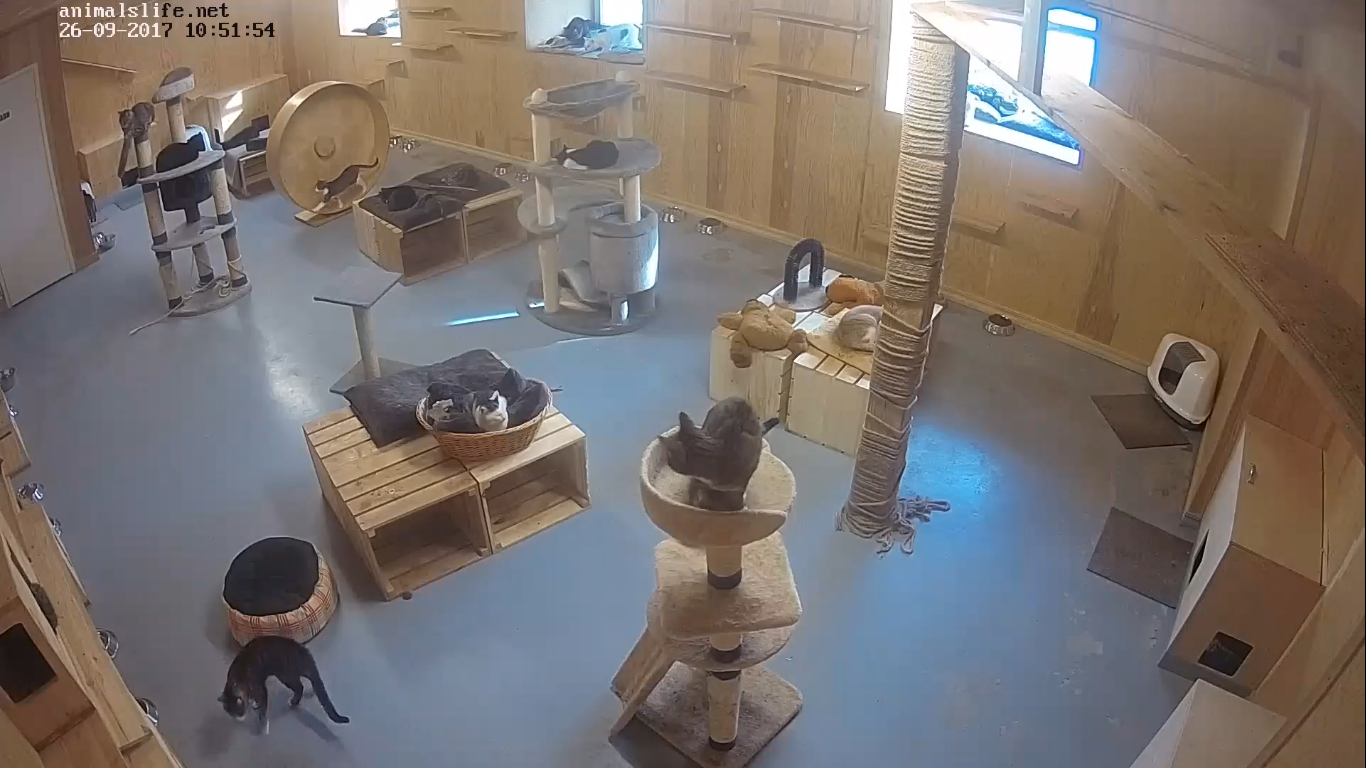 cameras