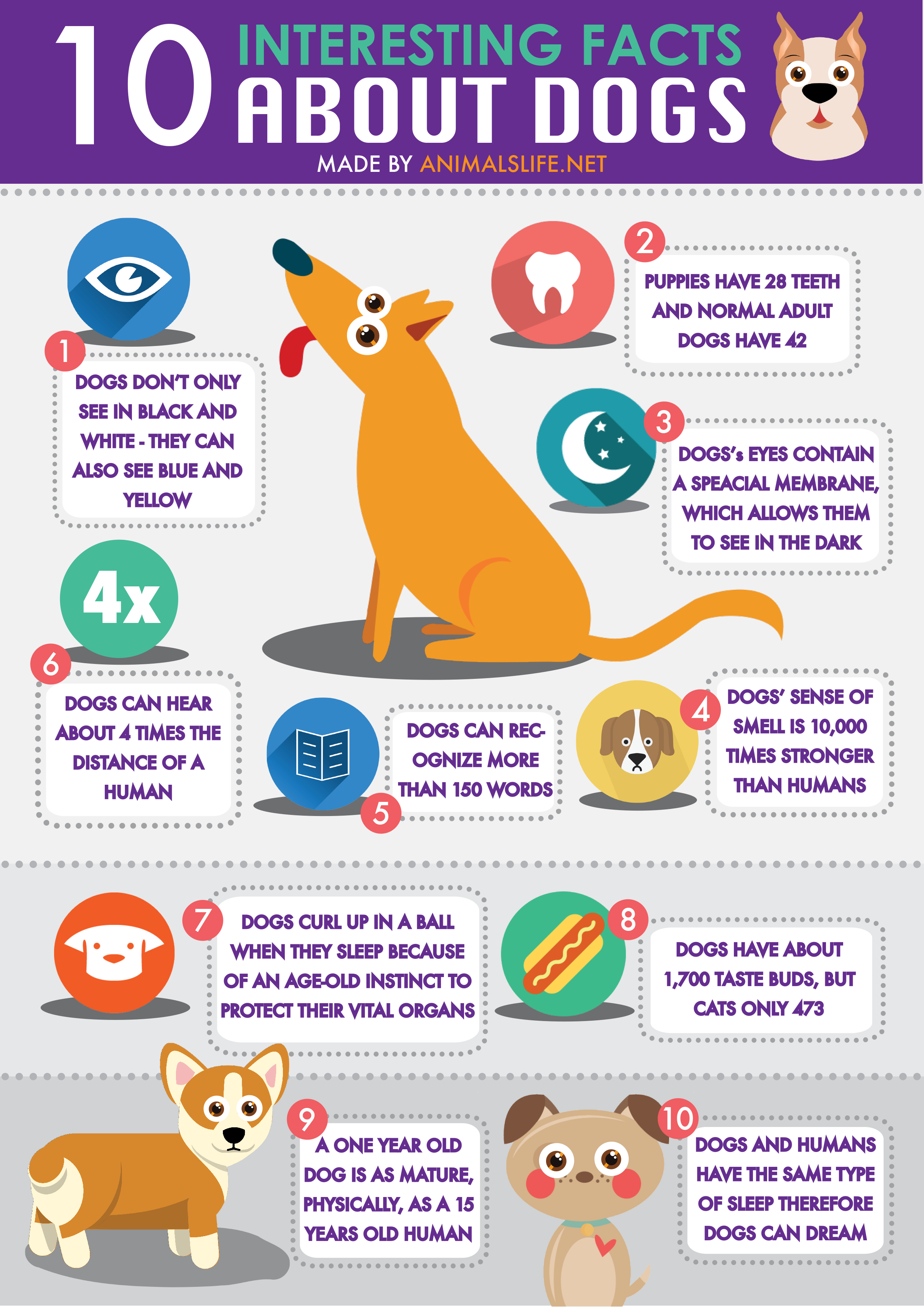 fun facts about dogs