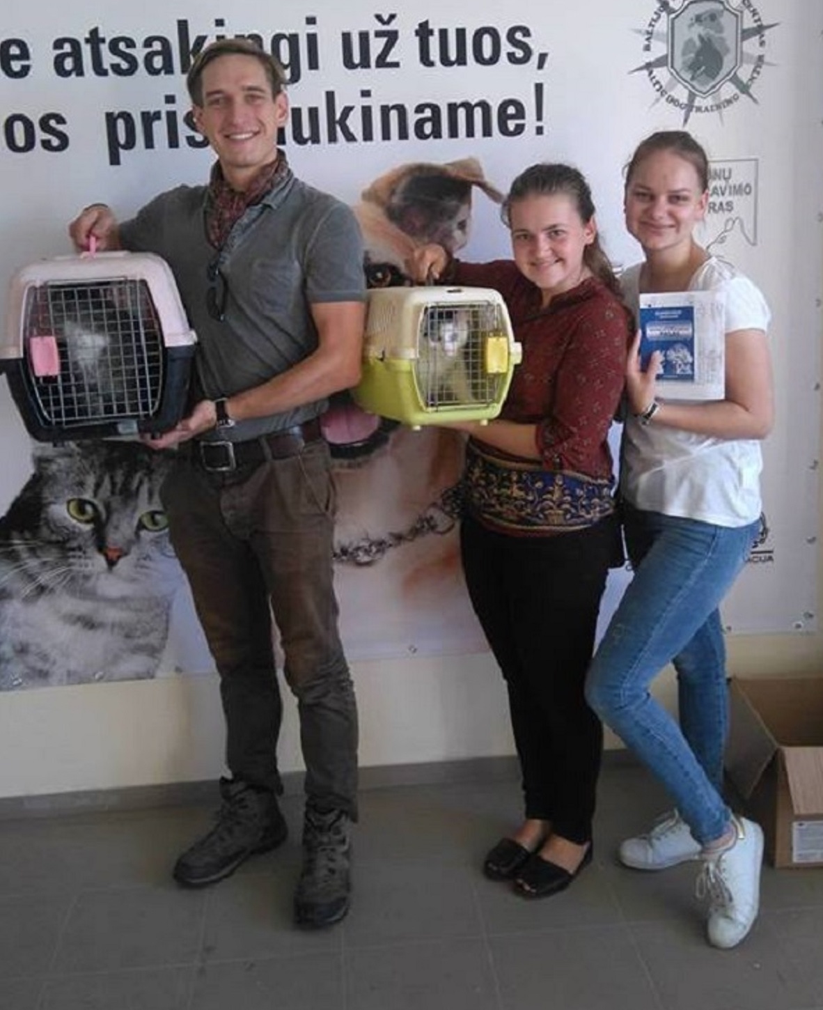 two-adopted-cats-from-shelter-nuaras-in-kaunas