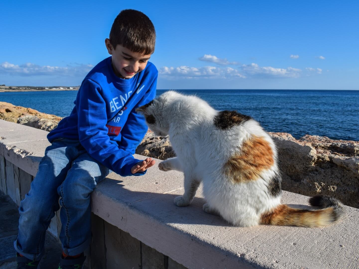 cat-adopted-by-kid